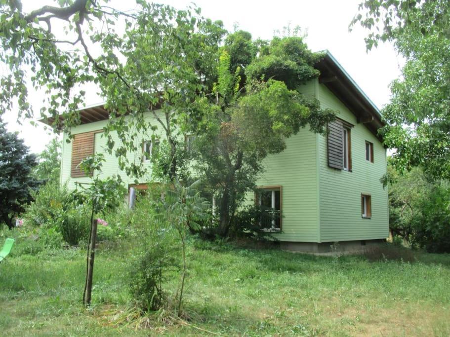 Ferienwohnung Im Gruenen Gottenheim المظهر الخارجي الصورة