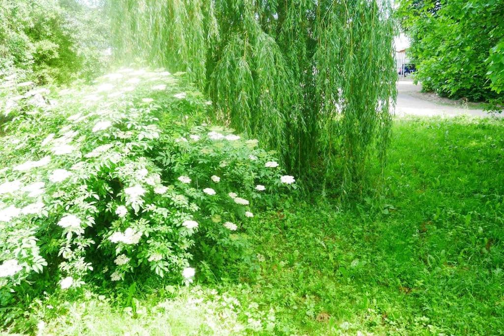Ferienwohnung Im Gruenen Gottenheim المظهر الخارجي الصورة